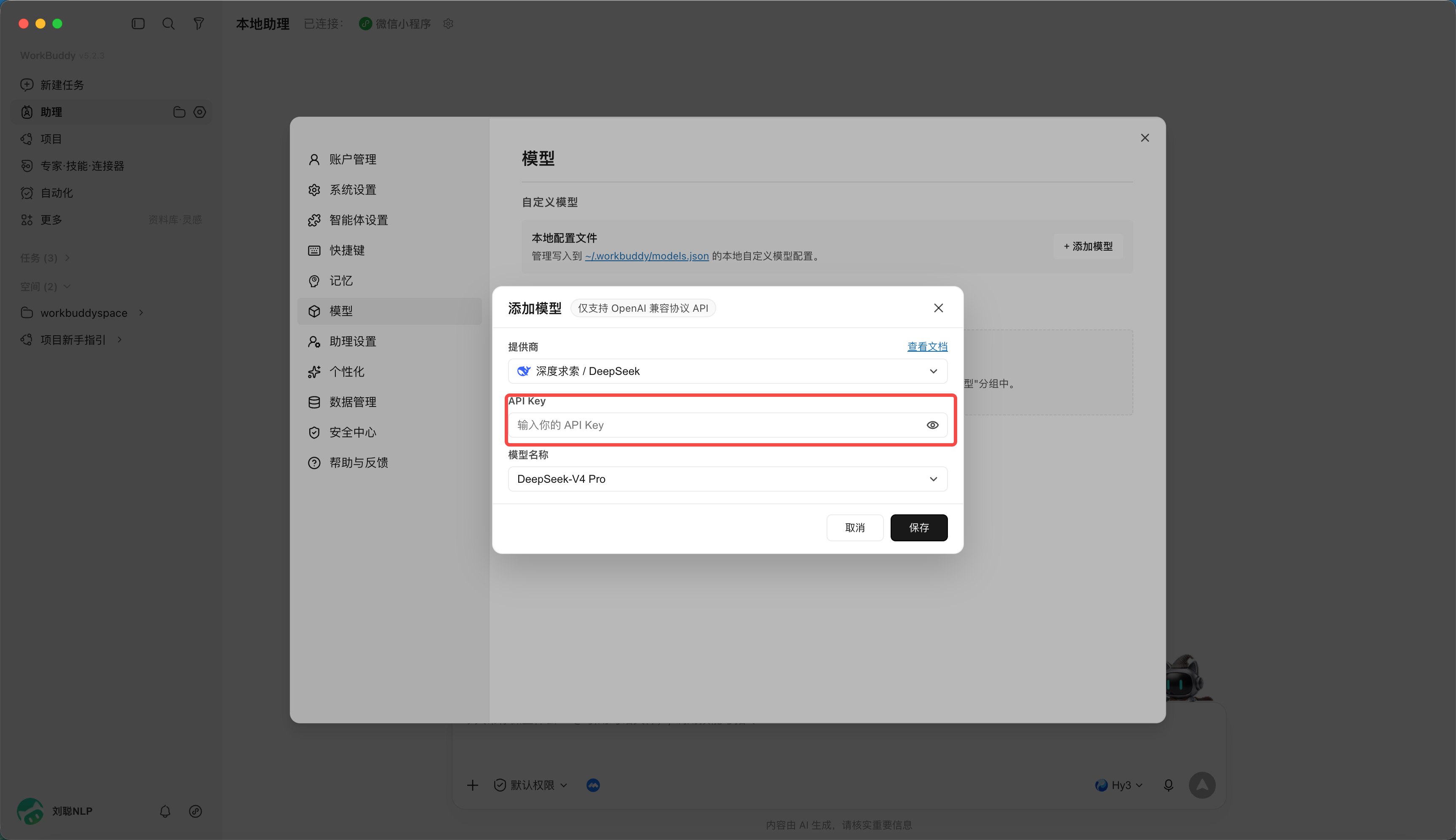 填入 DeepSeek Key
